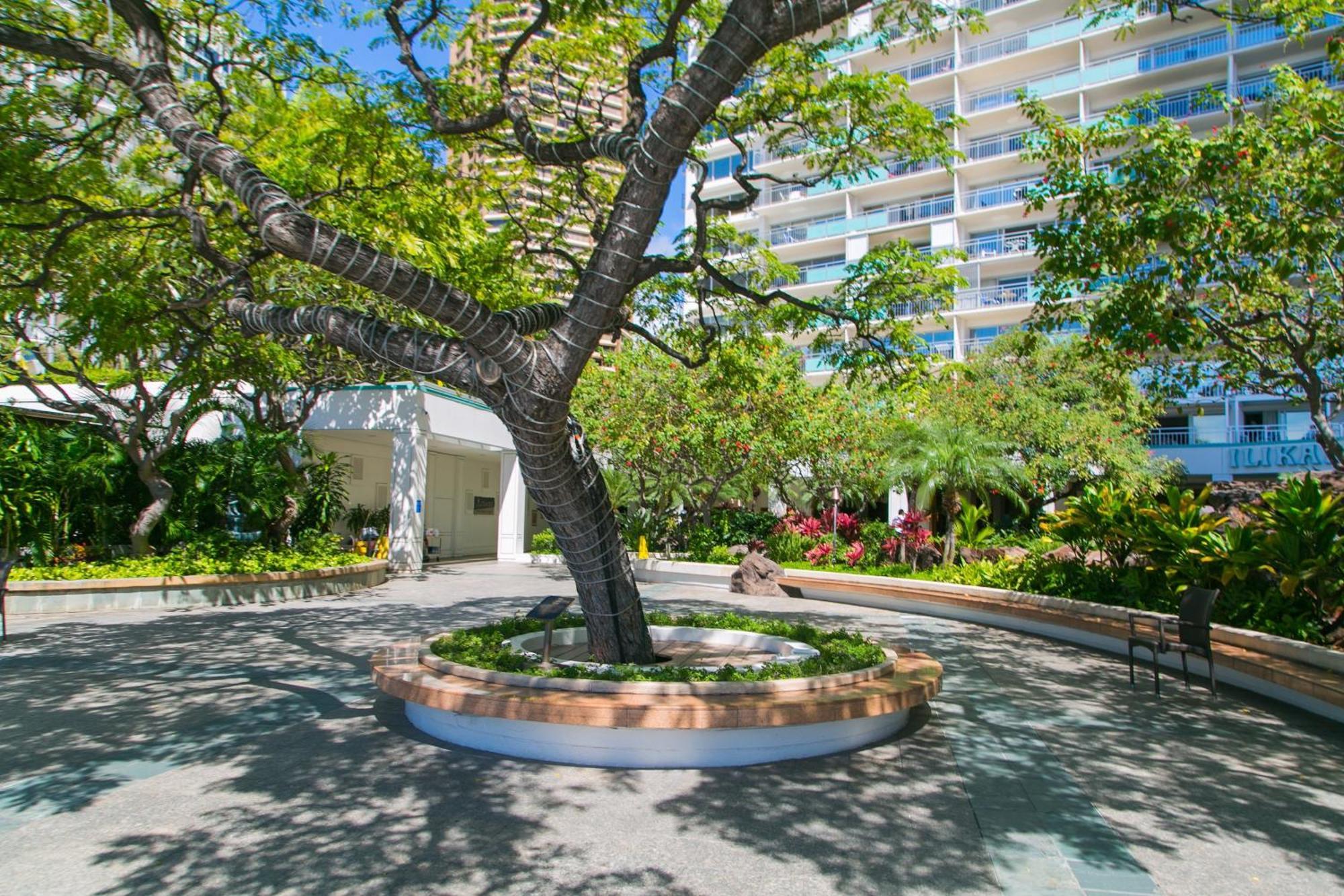 Ilikai Tower 1812 Lagoon View 1Br Гонолулу Екстер'єр фото
